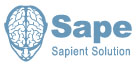 SAPE - �������� � ��������� ������ ���������